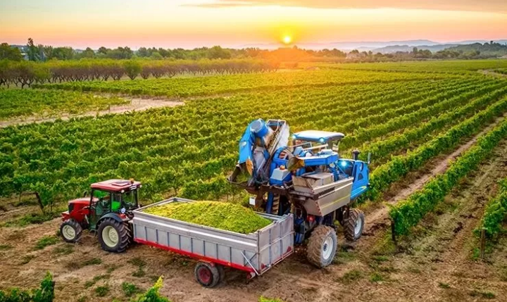 automacao agronegocio 1669063196
