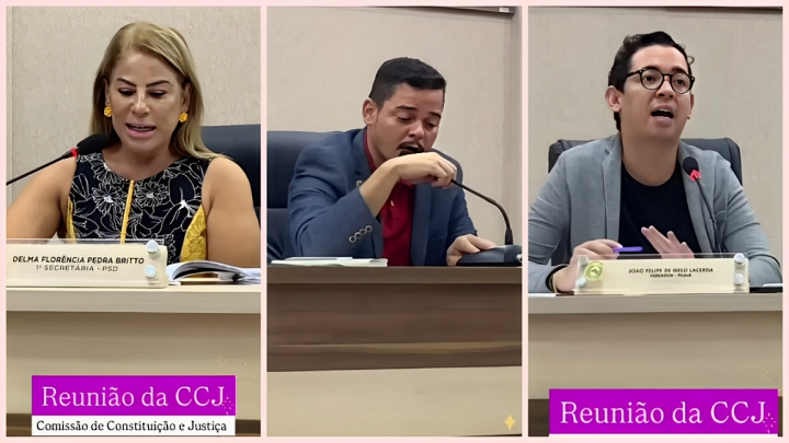 Reunião CCJ Barreiras 24032025