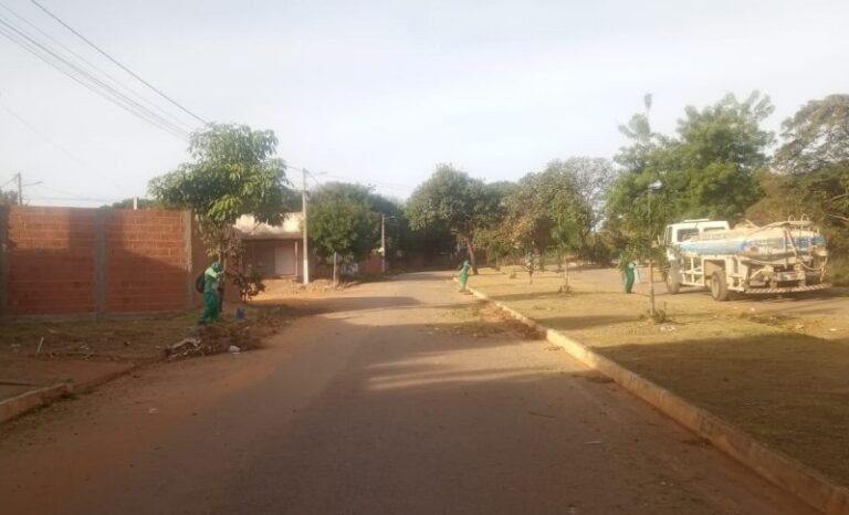 Limpeza Cotia 05062025