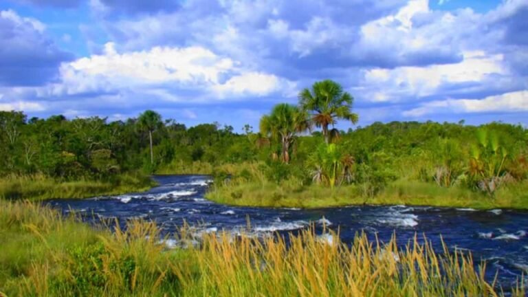 Rios do Cerrado podem perder quase 34 da agua devido a agropecuaria diz estudo