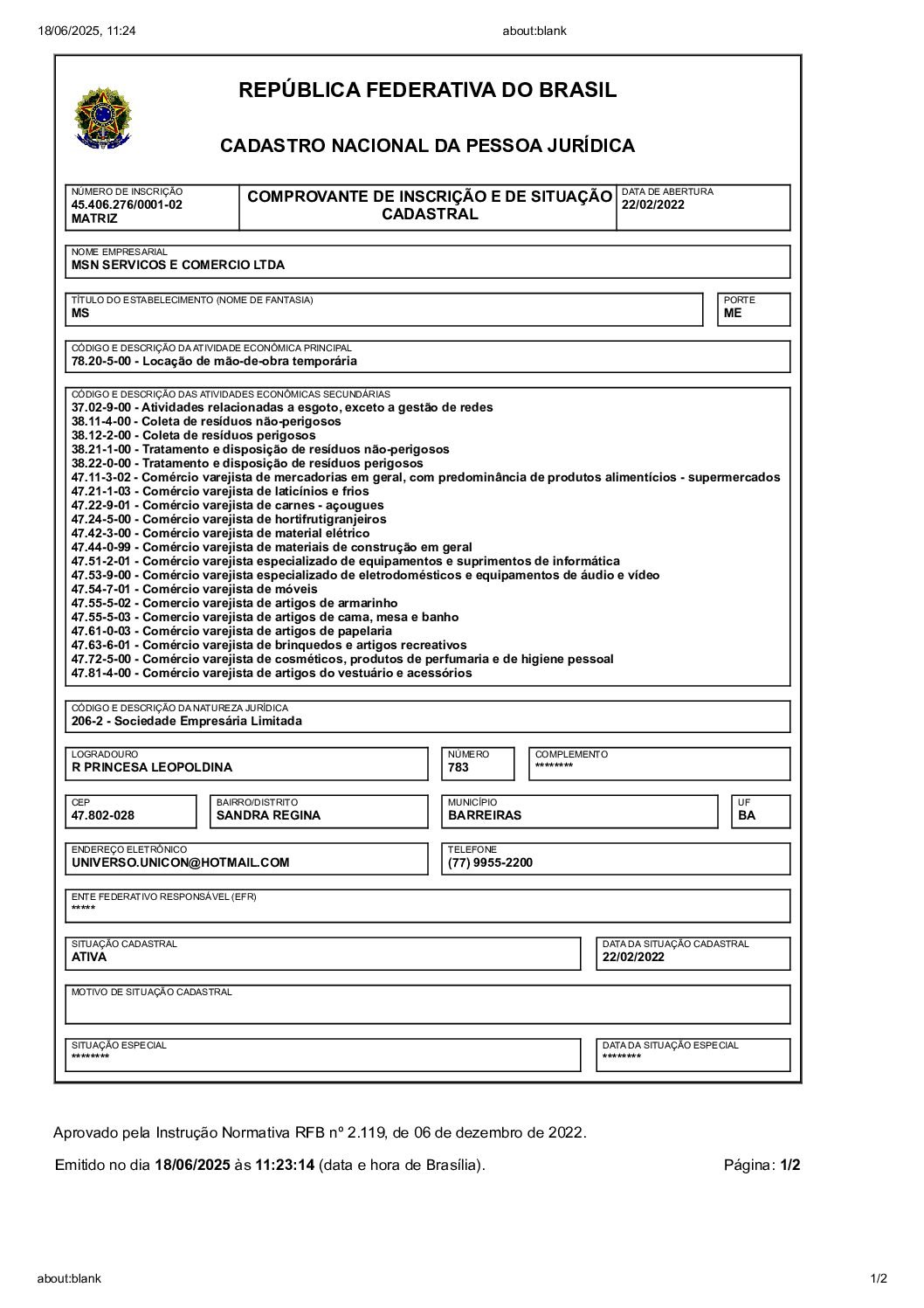 cnpj MSN 18062025