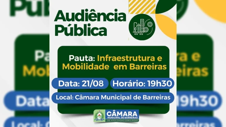 Audiencia Publica 21042025