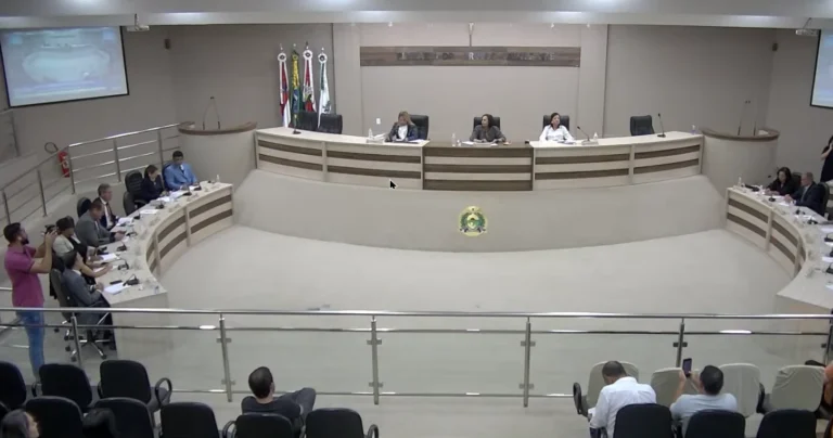Plenario 19082025