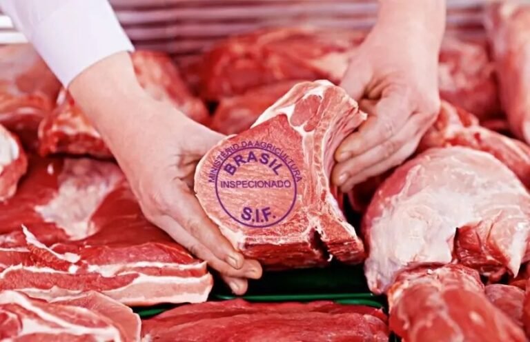 carne 234 02082025