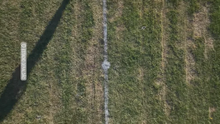 estadio geraldao