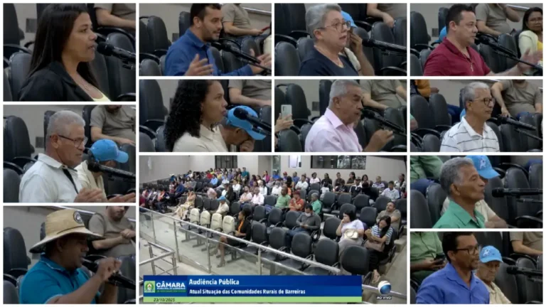 Audiencia publica 23102025