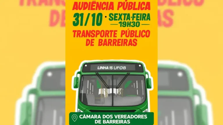 audiencia publica 31102025
