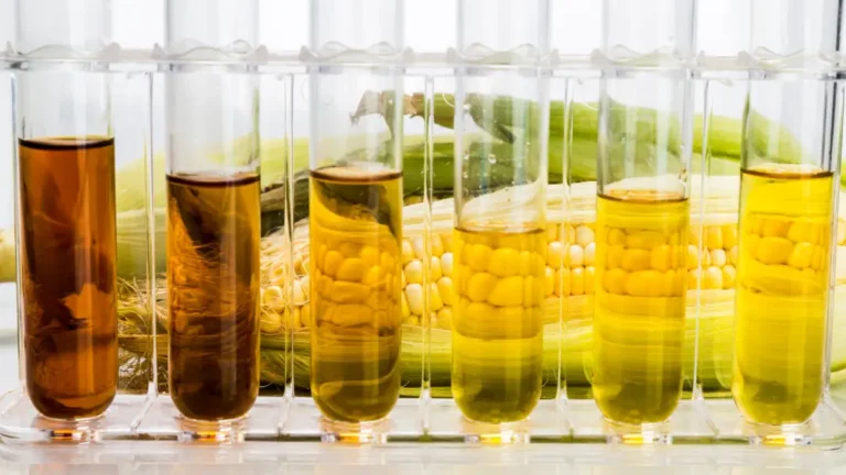 Biocombustivel 06022026