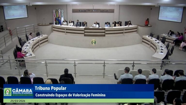 Barreiras lidera casos de violência doméstica na Bahia e Câmara reforça criação da Procuradoria da Mulher 25032026