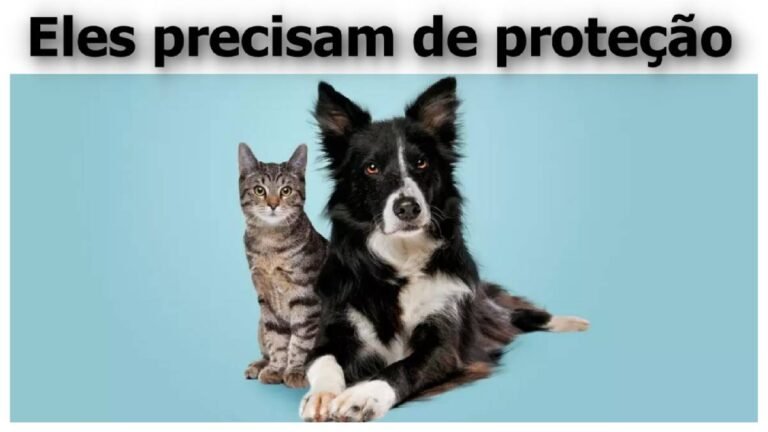 Eles precisam de proteção