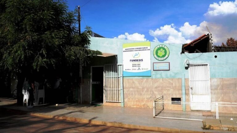 R$ 43 mil em 250 dias empresa do marido da presidente da ONG LOBO passou a receber da entidade após ela assumir o cargo