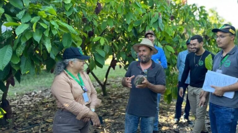 Aiba e Adab reforçam vigilância contra monilíase do cacau no Cerrado baiano