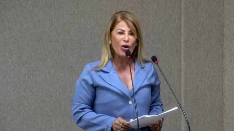 Delmah Pedra conduz sessão sob tensão, oficializa crise no transporte e anuncia regulamentação das emendas impositivas