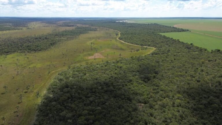 Aiba acompanha atualizações no Prodes com produtores rurais