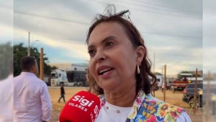 Carmélia da Mata alertou sobre a ausência de embasamento técnico no projeto enviado pelo Executivo Carmélia da Mata alertou sobre a ausência de embasamento técnico no projeto enviado pelo Executivo