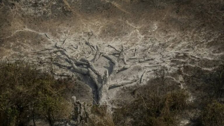 Mudanças climáticas já atingem 85% da população brasileira, aponta pesquisa