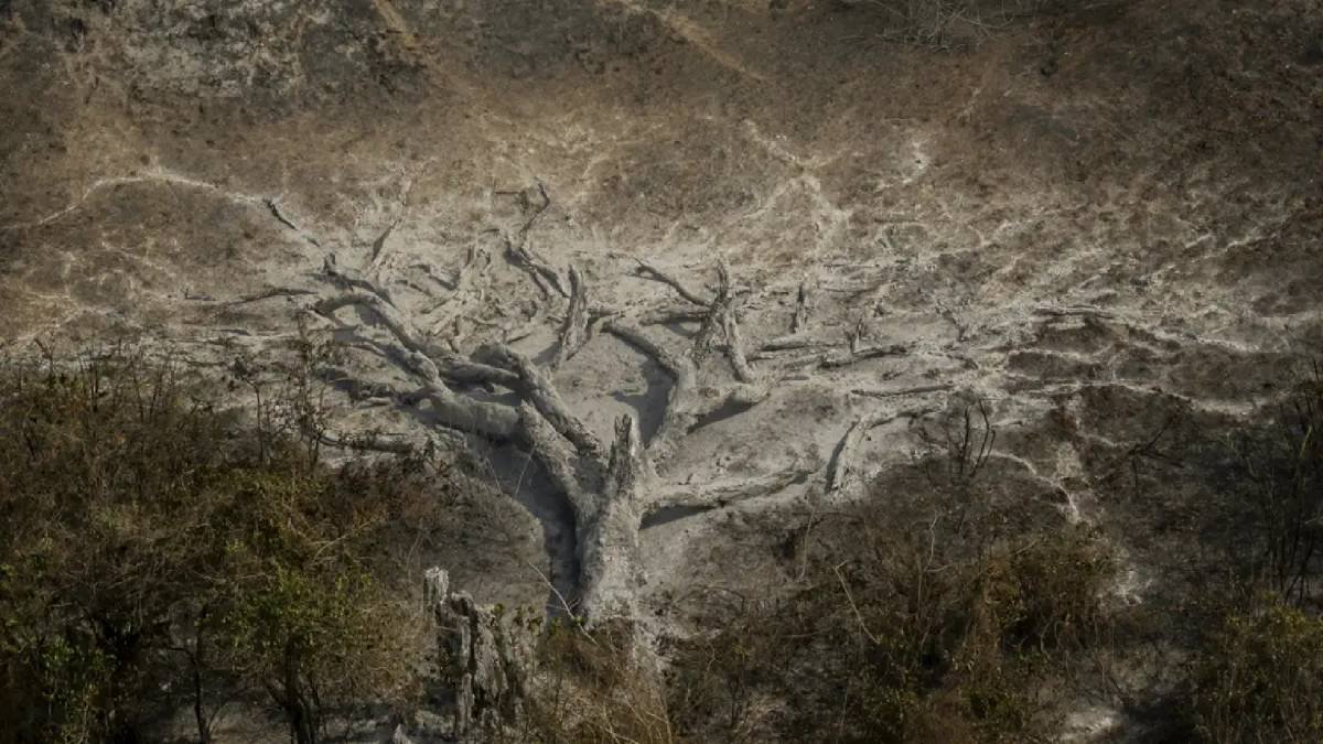 Mudanças climáticas já atingem 85% da população brasileira, aponta pesquisa