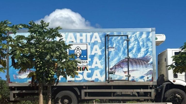Unidade Prisional de Barreiras recebe 4 mil tilápias e fortalece o programa Bahia Sem Fome